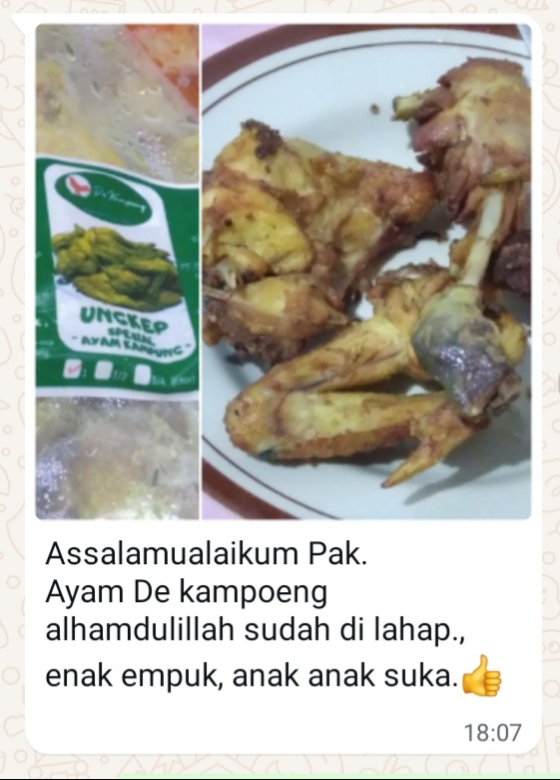 Testimoni pelanggan DeKampoong